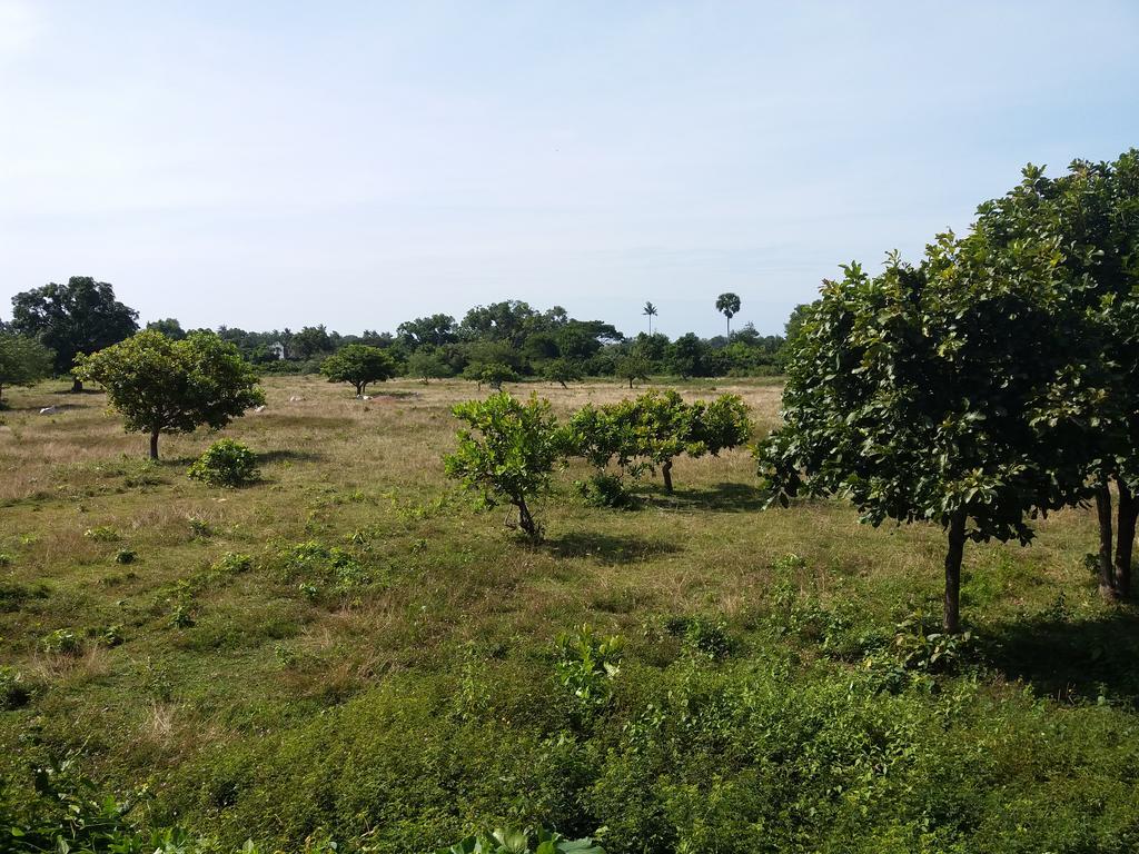 白马市 Khmer House Bungalow酒店 外观 照片